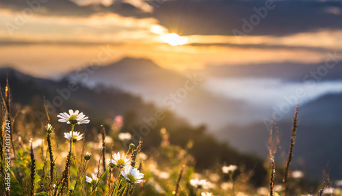 Stunning sunrise over the mountains  refreshing meadow landscape bathed in sunrays and golden bokeh