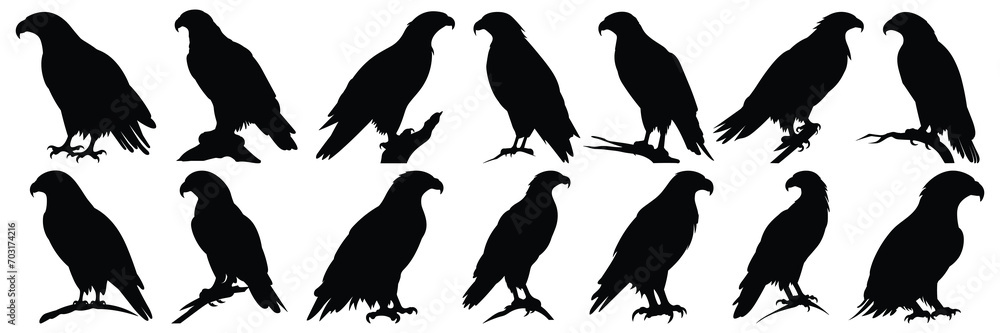 Eagle silhouettes set, large pack of vector silhouette design, isolated white background Eagle silhouettes set, large pack of vector silhouette design, isolated white background
