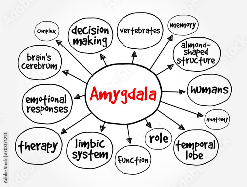 Amygdala is the integrative center for emotions, emotional behavior, and motivation, mind map concept background
