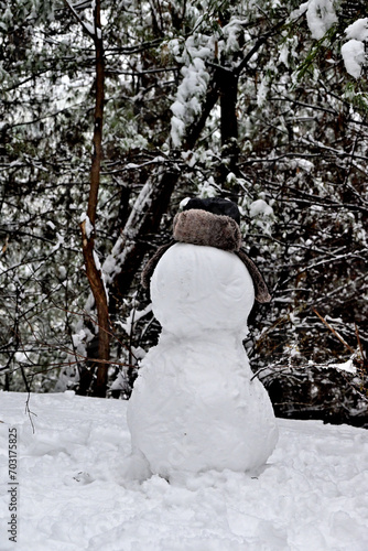 Wallpaper Mural snowman in the snow Torontodigital.ca