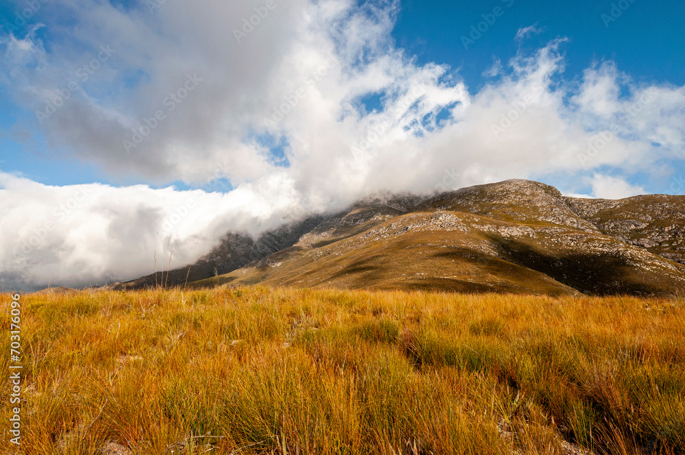 Dramatic clouds and mountains, ragged peaks in natural landscape in the Outeniqua mountains in the fynbos region of the western cape 