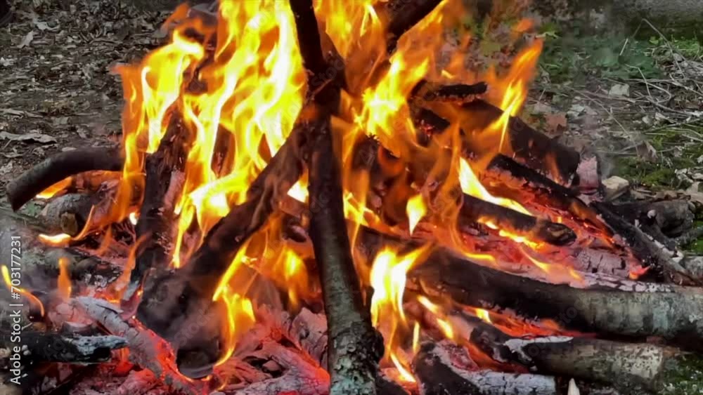 Close-up, flames from fire, Night bonfire, logs are on fire, sparks fly, High quality 4k footage Close-up, flames from fire, Night bonfire, logs are on fire, sparks fly, High quality 4k footage
