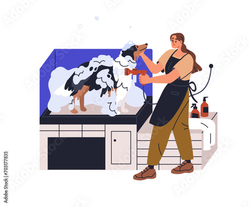 Bathing dog at canine beauty salon. Grooming, washing doggies hair, coat with shampoo, soap, water shower at groomers. Groomer and pet service. Flat vector illustration isolated on white background