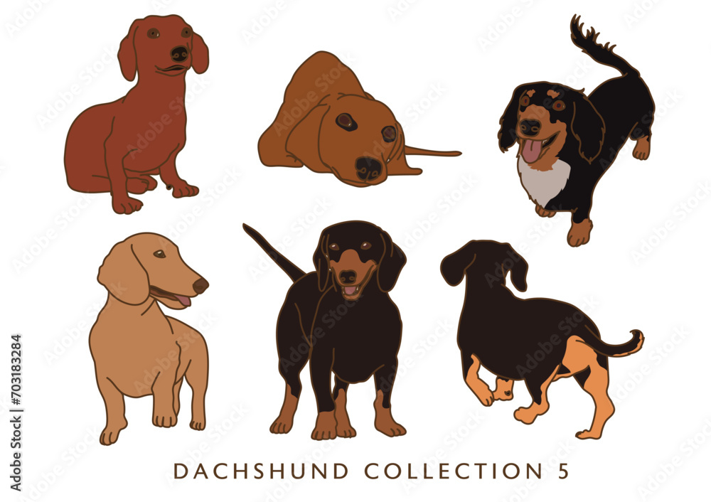 Dachshund Weiner Dog Illustration Collection 5 - In Color - Many Poses