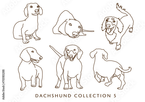 Dachshund Weiner Dog Illustration Outlines Collection 5 - Many Poses