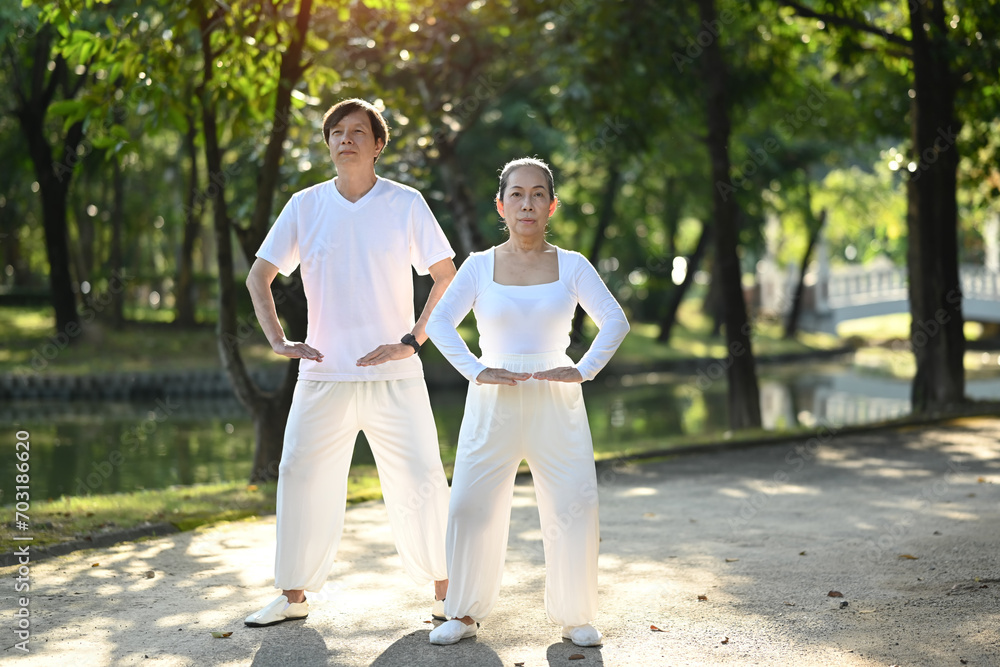 Full length active middle age couple doing Qi Gong or Tai Chi exercise in the park. Full length active middle age couple doing Qi Gong or Tai Chi exercise in the park.