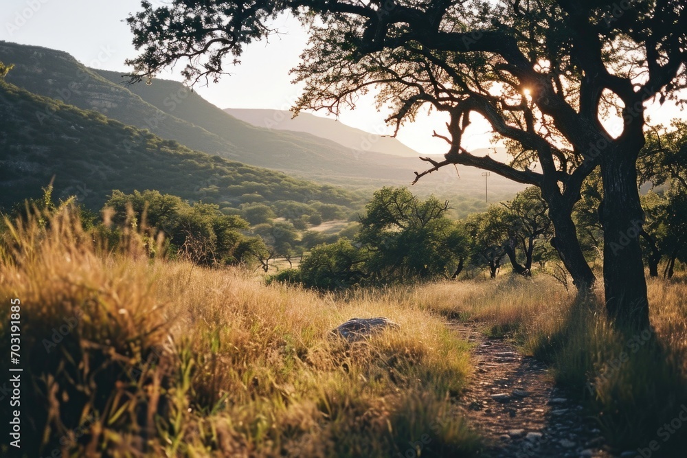 A dirt path cutting through a serene grassy field. This image can be used to depict nature, countryside, or a peaceful walk in the outdoors A dirt path cutting through a serene grassy field. This image can be used to depict nature, countryside, or a peaceful walk in the outdoors