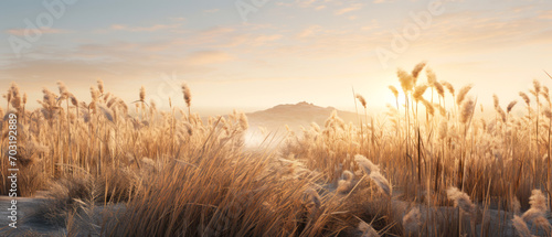 Landscape with dry reeds, beige cane, pampas grass. Macro Shoot. Nature, herbal background. Boho design. Generative ai