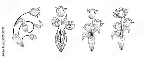 Set of luxury tulip flowers and logo. Trendy botanical elements. Hand drawn line leaves branches and blooming. Wedding elegant wildflowers for invitation save the date card  #703194292