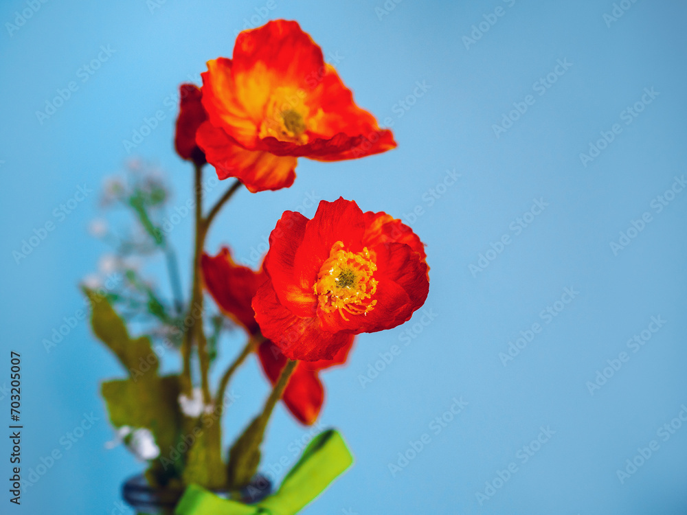 Obraz premium Red color poppy flower bouquet in a glass jar bottle tied by green ribbon. Blue wall background. Beautiful decoration element of a room in a house. Still life.