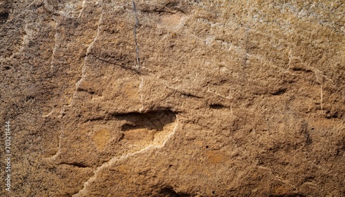 Sandstone texture details and a close-up of the rock's surface