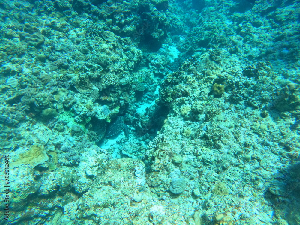 Fototapeta premium DCIM\100GOPRO\GOPR0125.JPG