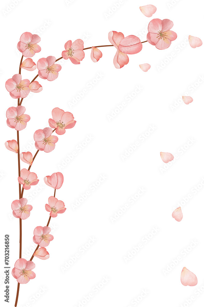 Obraz premium Watercolor hand painted floral cherry blosoom bouquets.Watercolor floral illustration with cherry japan - for wedding invite, stationary, greetings, wallpapers, background