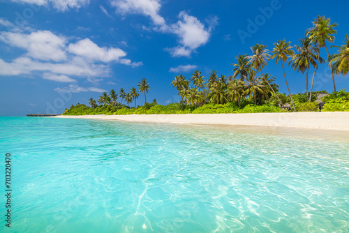 Beautiful beach background. Tropical nature exotic sandy shore coast. Tranquil paradise landscape, fantastic island. Closeup sea waves, sunny sky, coco palm trees amazing scenery. Peaceful beachfront