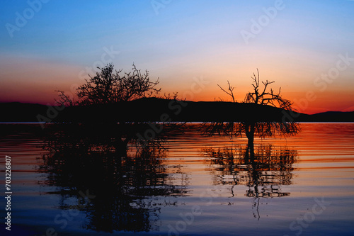 ALberi su lago al tramonto