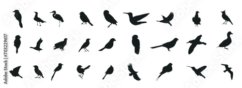 Bird silhouette collection. Birds of prey vector silhouettes collection. Black bird silhouette collection. Set of black bird silhouette isolated © FK