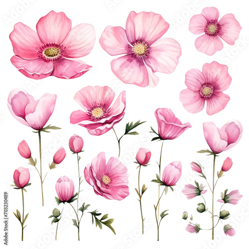 Pink Flowers Watercolor Clipart 