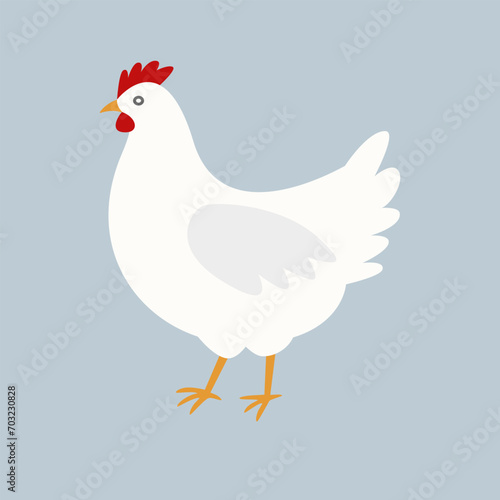 White chicken, vector illustration of hen.