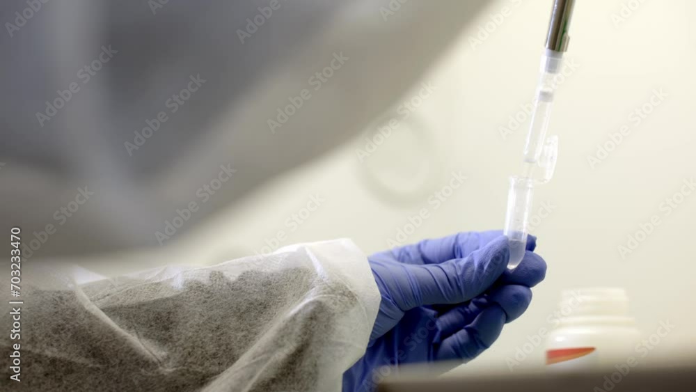 closeup of scientist hands working in laboratory with pipette closeup of scientist hands working in laboratory with pipette