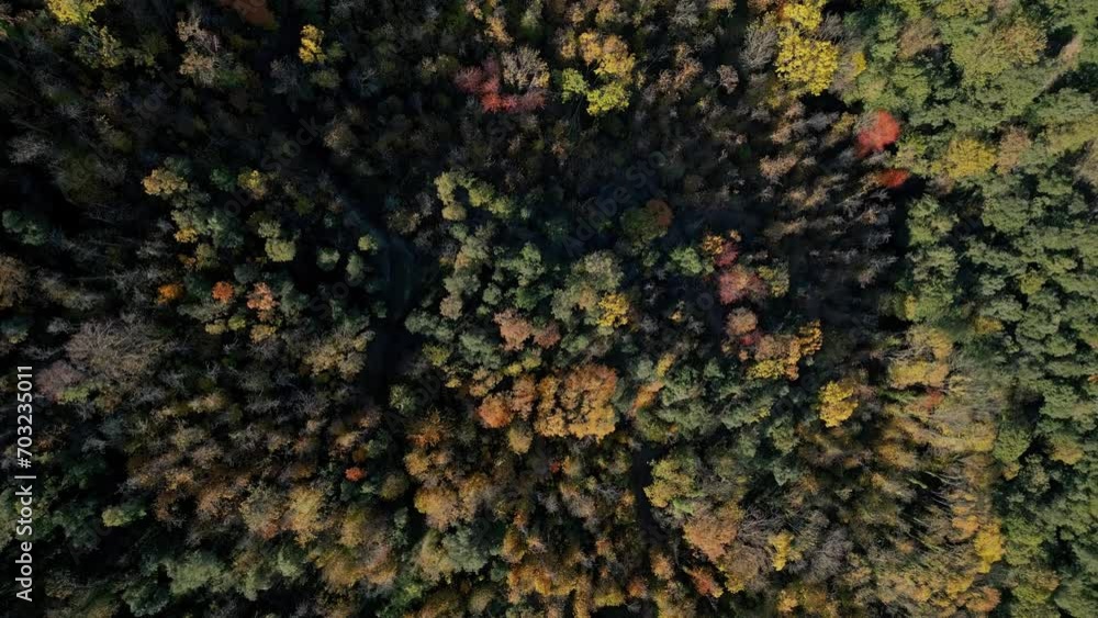 drone shot descending towards the colourful tree tops in autumn, Arbúcies, Girona, Catalonia drone shot descending towards the colourful tree tops in autumn, Arbúcies, Girona, Catalonia