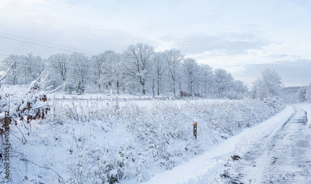 Train track in winter landscape in Hassleholm, Sweden Train track in winter landscape in Hassleholm, Sweden