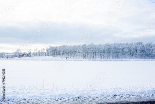 Winter landscape in Hassleholm, Sweden © StellaSalander