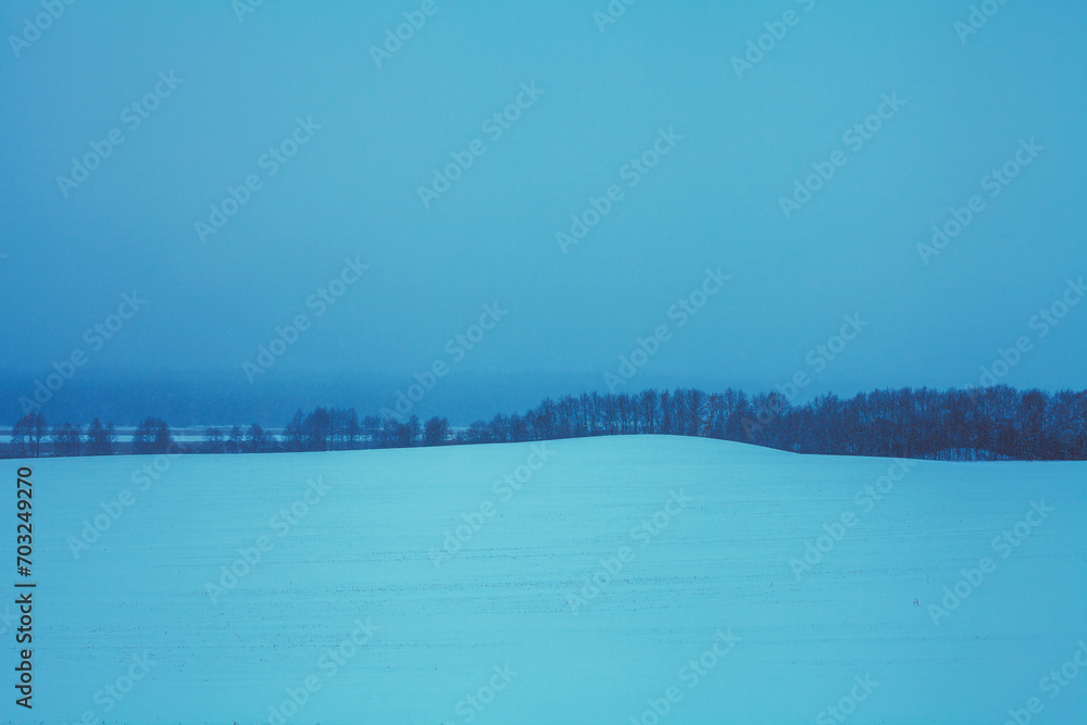 Winter rural landscape during snowfall. View of a field with trees on the horizon. Christmas background. Minimalist landscape