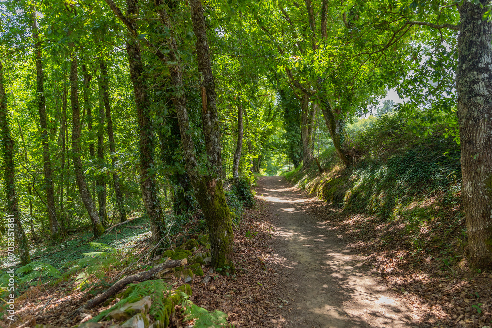 Landscape along the Camino de Santiago trail Landscape along the Camino de Santiago trail