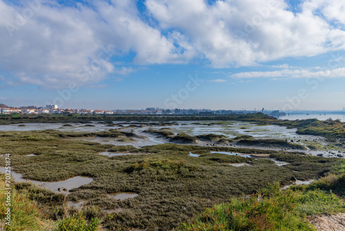 Fotografija Tagus morning with fog