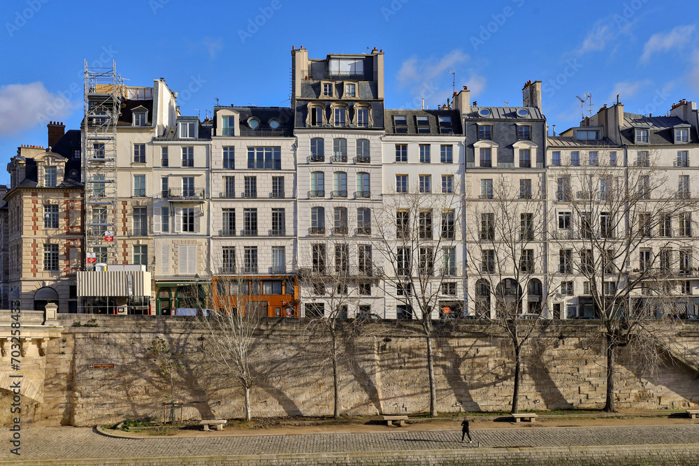 Fototapeta premium typical parisians building facade , haussmannian style , Seine river embankments