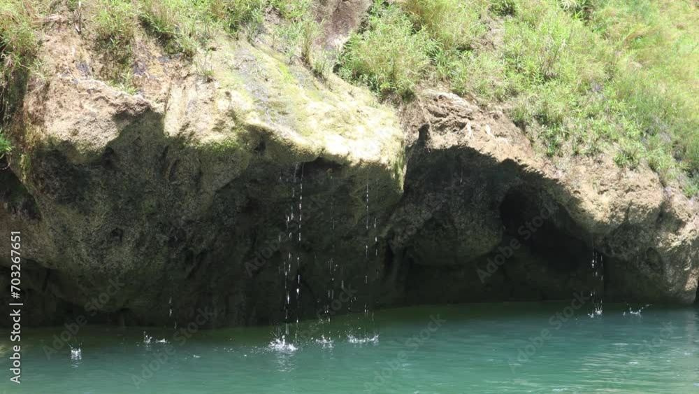 Vidéo Stock Water dripping from a rock surrounded by green moss walls ...