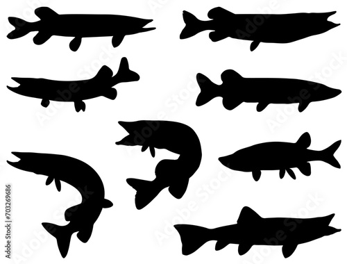 Northern pike fish silhouette vector art white background photo