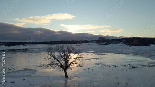 A lonely tree at sunset, in the middle of a frozen field, as seen from a drone.