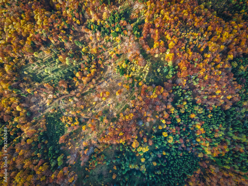 Lot nad Górami Leluchowskimi jesienią. Las w Paśmie Kraczonika.