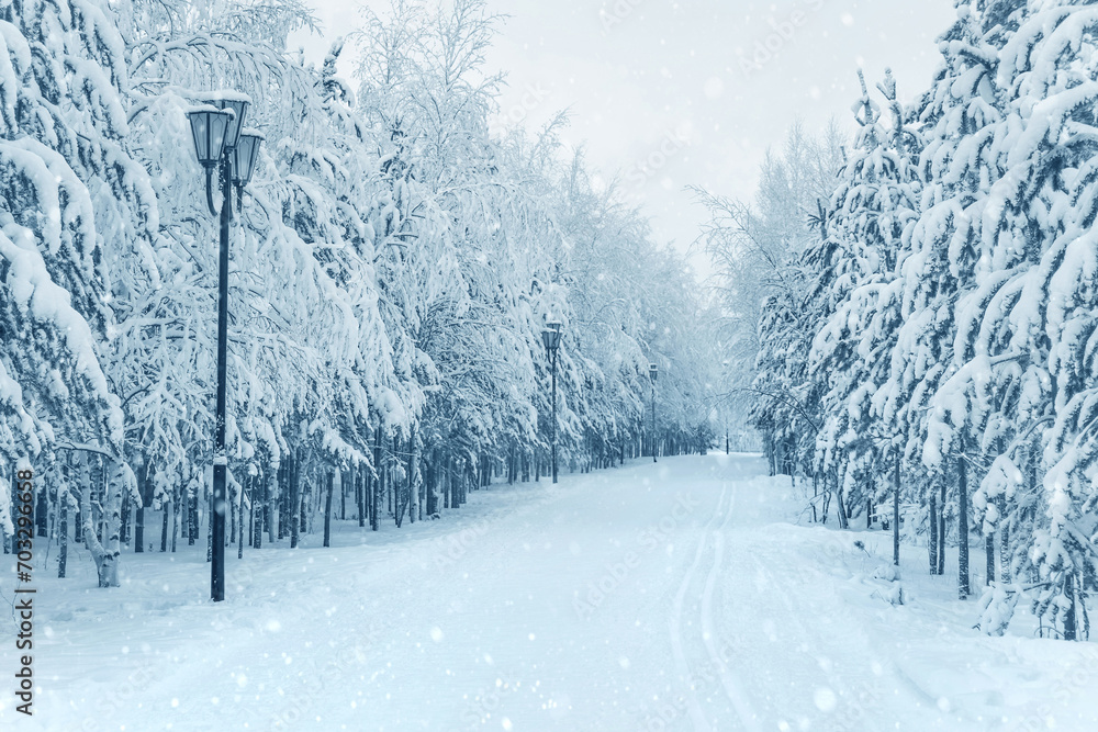 Winter landscape. Snowy forest in winter park. Alley and ski track in winter park. Trees covered with snow. Frosty snow alley in the winter park Winter landscape. Snowy forest in winter park. Alley and ski track in winter park. Trees covered with snow. Frosty snow alley in the winter park