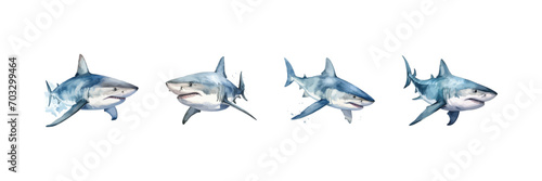 Watercolor shark set. Vector illustration design. © Vector design