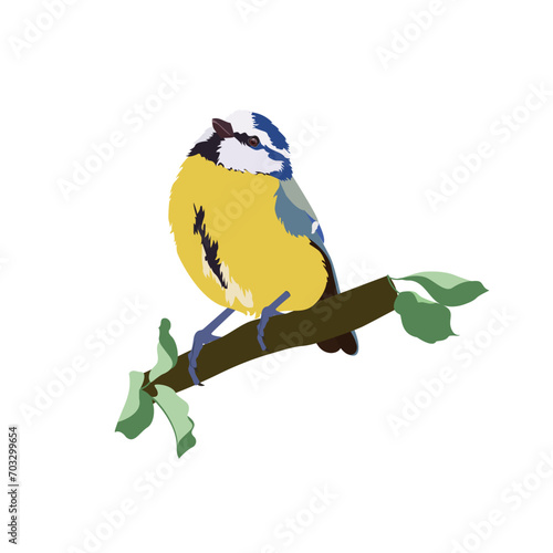 Vector illustration of a feathered titmouse character.