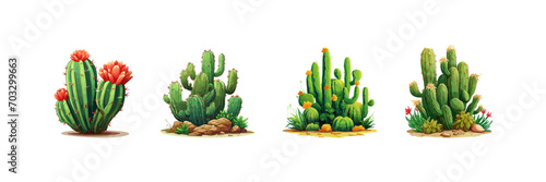 Cactus set. Vector illustration design. photo