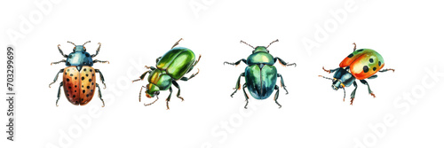 Watercolor beetle set. Vector illustration design.
