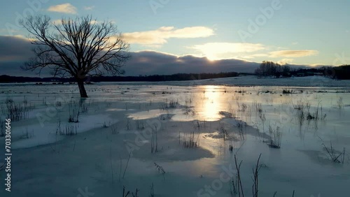 A lonely tree at sunset, in the middle of a frozen field, as seen from a drone.