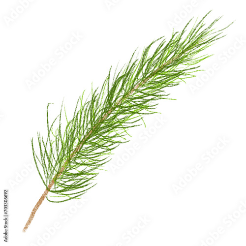 twig of dill