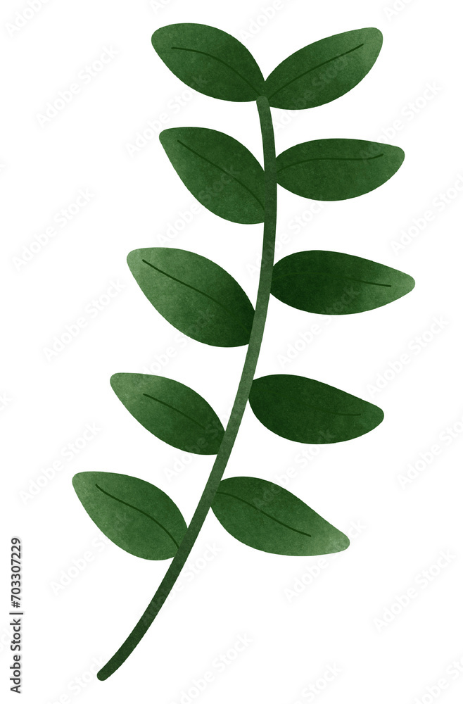 green leaf isolated on white background