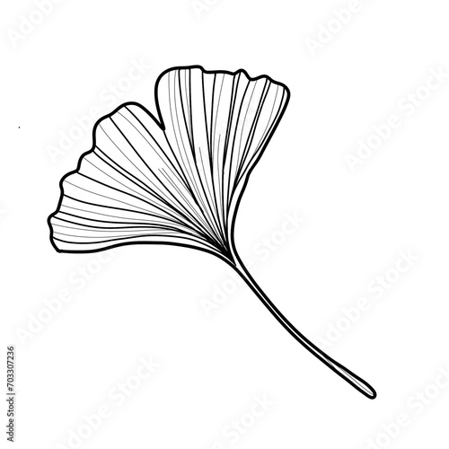 open book with feather