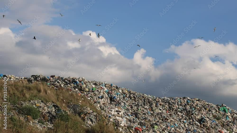 Bird Flying Over Big Hill of Garbage Waste Trash City Dump Site Landfill Bird Flying Over Big Hill of Garbage Waste Trash City Dump Site Landfill