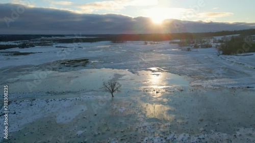 A lonely tree at sunset, in the middle of a frozen field, as seen from a drone.