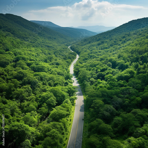 Countryside road passing through green forest and mountain seen from above Copy space image Place for adding text or design 