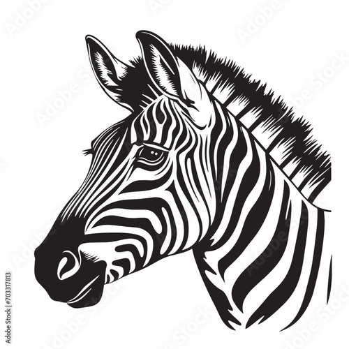Zebra Head Sketch Hand Drawn Graphic Safari Animals Vector Illustration