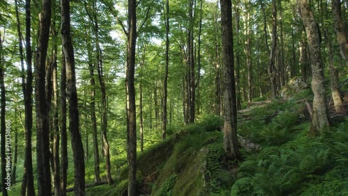 Wallpaper Mural Aerial view on the hotels and yachts in marina.  Torontodigital.ca