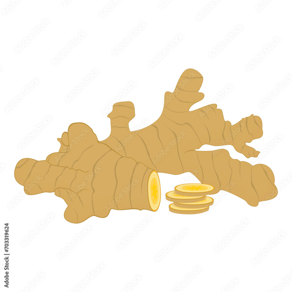 Ginger isolated on a white background. Delicious ripe ginger whole and pieces, slices. Flat style, cartoon design