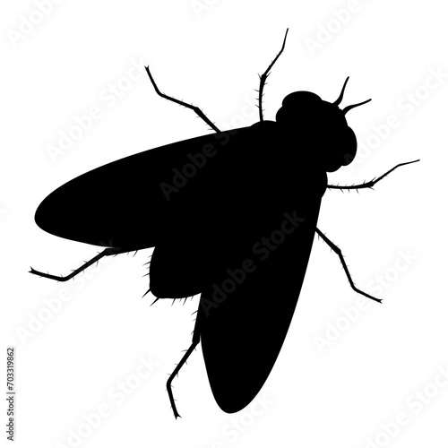 Pest Control insect black silhouette set, insect icons isolated on white, flat style photo